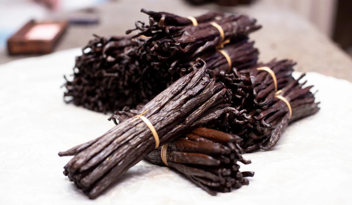 Bienvenue chez <span class="text-secondary">Supplay+</span>